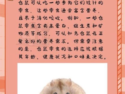 如何判断小仓鼠的健康状态（观察行为和外貌特征，及时发现异常状况）