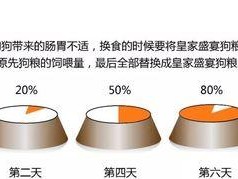 狗不能喂太饱的原因（为了宠物狗的健康和幸福）