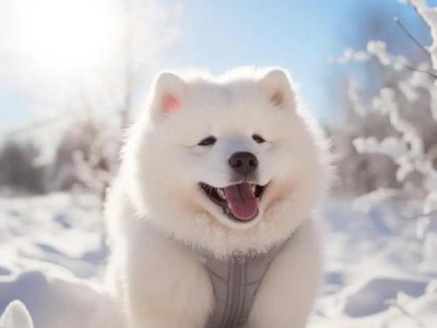 癫痫犬品种大揭秘（了解这些狗狗品种，预防和治疗癫痫从此不再困扰）