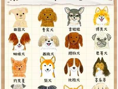 萨摩耶犬饲养指南（了解关于萨摩耶犬的饲养技巧，让你成为萨摩耶的贴心主人！）