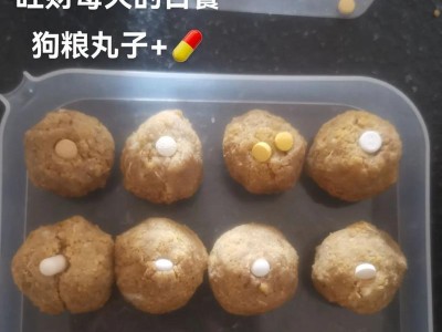 狗狗产后饮食指南（了解狗狗产后饮食的重要性和建议）