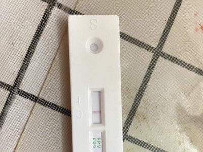 小猫猫瘟（小猫猫瘟的严重性与相关注意事项）