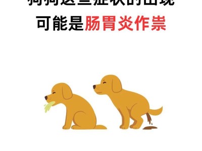 了解狗狗肠炎的症状与检查方法（发现宠物不适，及时排除肠炎困扰）