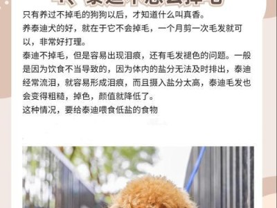 养泰迪犬的开销及贵重程度揭秘（探究养泰迪犬一个月的开销以及养泰迪是否贵重）