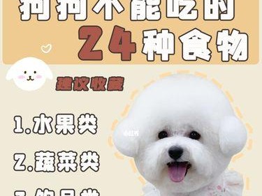 狗狗可以吃的水果及注意事项（谨慎选择与适量食用，健康宠物的秘诀）