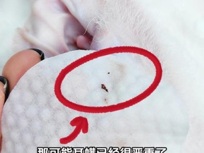 小狗耳朵的神奇之处（探索小狗耳朵的多重功能和重要性）