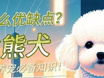 科学合理的比熊犬喂养方式（为你的比熊提供最健康的饮食）
