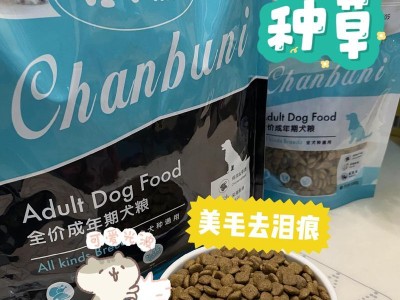 博美犬例假期间的饮食安排（为你的博美犬提供合适的食物和营养）