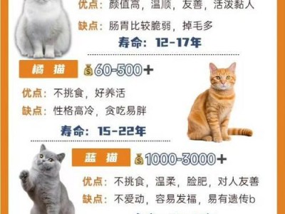 猫咪饲养注意事项指南（全年12个月，你需要了解的猫咪饲养知识）