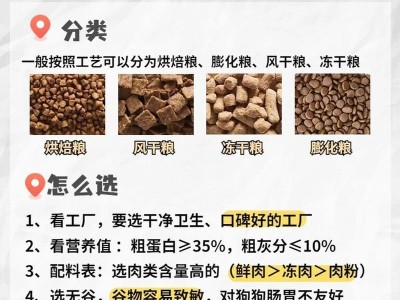 比熊的最佳喂养方式（每天几餐才是健康的选择）