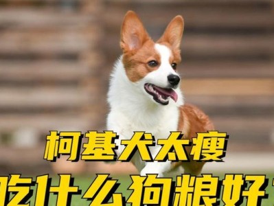 人能吃的狗粮种类及注意事项（了解适合人类食用的狗粮以及正确选择和食用方法）