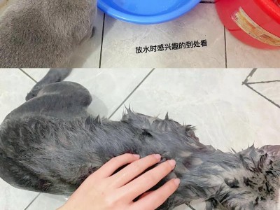 新生儿出生后多久可以洗澡？（关于新生儿洗澡的时间安排和注意事项）